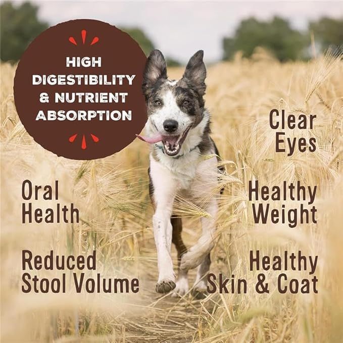 Primal Freeze Dried Dog Food Nuggets, Beef; Complete & Balanced Meal; Also Use as Topper or Treat; Premium, Healthy, Grain Free, High Protein Raw Dog Food, 14 oz (Pack of 4)