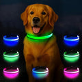 Light Up Dog Collar, Multicolor LED Dog Collar with 7 Modes, USB-C Rechargeable Reflective Glow Collar, Waterproof & Adjustable Design with Battery Indicator for Safe Night Walks (Small)