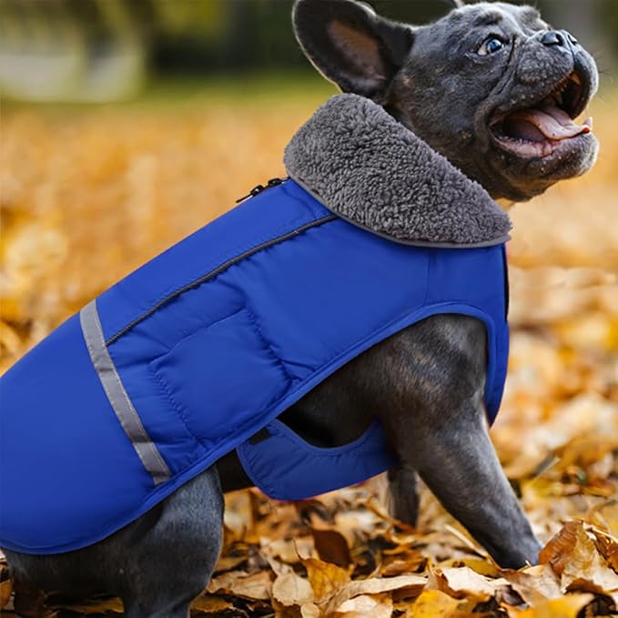 Doglay Dog Coat, Waterproof Dog Jacket Pet Winter Coat for Cold Weather with Thicken Furry Collar, Reflective Puppy Winter Jacket Warm Fleece Lining for Small Medium Large Pets