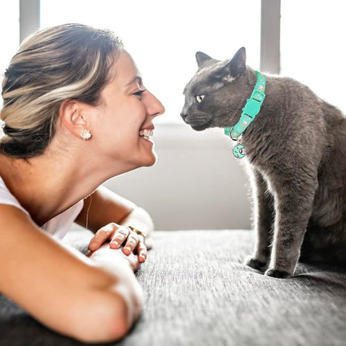 2Pcs Breakaway Cats Collars Cat Collars for Boy & Girl Cats Adjustable Kitten Collars with Bell,Pink+Teal,8"-13.1"