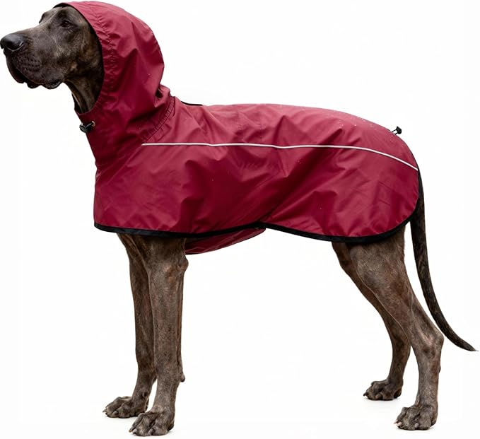 Mosucoirl Dog Raincoat Jacket Reflective Adjustable Hooded Pet Poncho Rain Coats with Leash Hole Waterproof Clothes for Small Medium Large Dogs (Red, M)