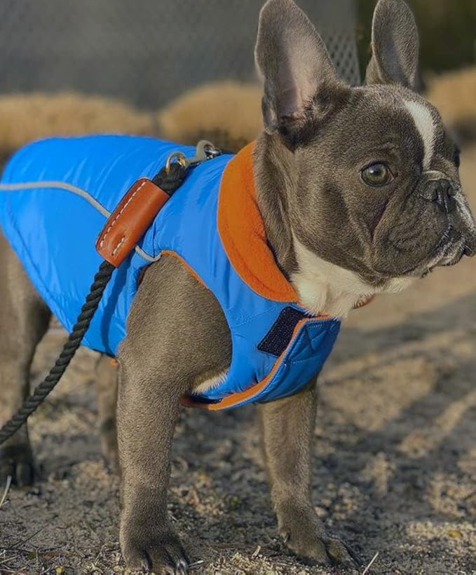 Gooby - Sports Vest, Fleece Lined Small Dog Cold Weather Jacket Coat Sweater with Reflective Lining, Blue, X-Small