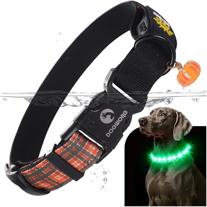 DOGWONG LED Dog Collar - Fall Orange Plaid Heavy Duty Light up Dog Collars - Rechargeable Waterproof - Lighted Dog Collars for Night Walking, Hiking, Camping(Orange Plaid,S)