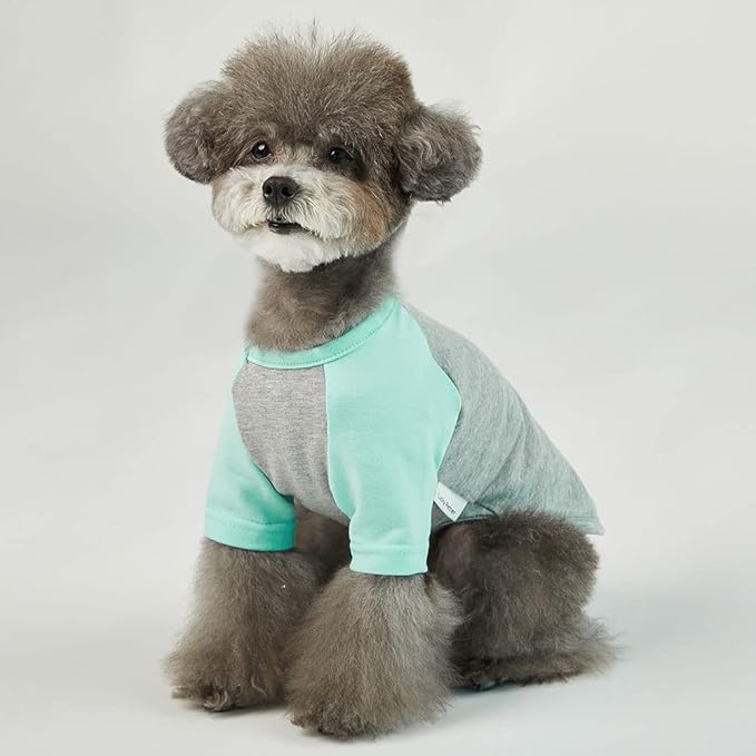 Dog Shirt for Small and Large Dogs Raglan Cotton T-Shirts Soft Breathable Dog Shirts pet Clothes Gray Series (Medium, Gray/Mint)