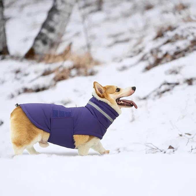 Dog Coat, Waterproof Winter Jacket, Warm Windproof Jacket, Reflective Adjustable Turtleneck Coats for Medium Dogs with Hook & Loop - Purple - M