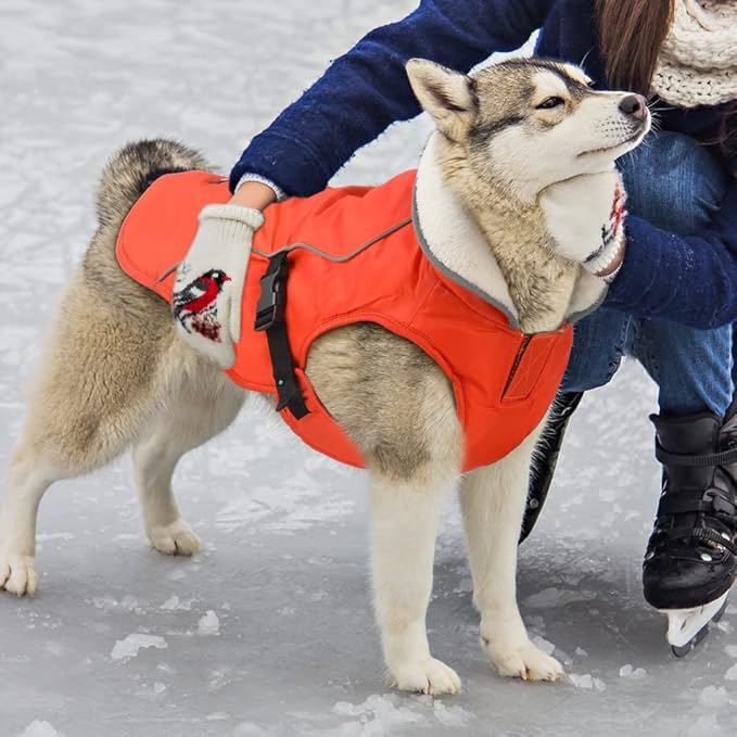EMUST Dog Coat Winter, Waterproof Pet Snow Jacket for Winter, Adjustable Small/Medium/Large Dog Coat, Orange, L