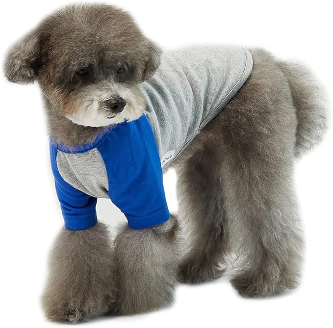 Dog Shirt for Small Dogs Cotton T-Shirt Soft Breathable Gray/Blue (Medium)