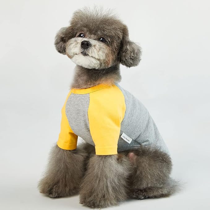 Dog Shirt for Small and Large Dogs Raglan Cotton T-Shirts Soft Breathable Dog Shirts pet Clothes Gray Series (Large, Gray/Yellow)
