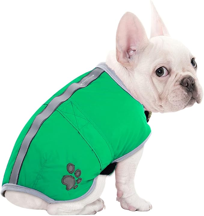 Queenmore Dog Winter Coat, Cold Weather Fleece Jacket for Dogs, Waterproof Reflective Reversible, for Small, Medium and Large Dogs (Green, 2XL)