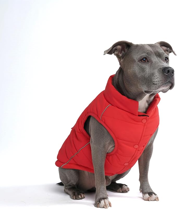 Spark Paws Dog Winter Jacket, Water-Resistant Coat, Warm Reflective Windproof Fleece-Interior, for Medium and Large Dogs - Red - 2XL