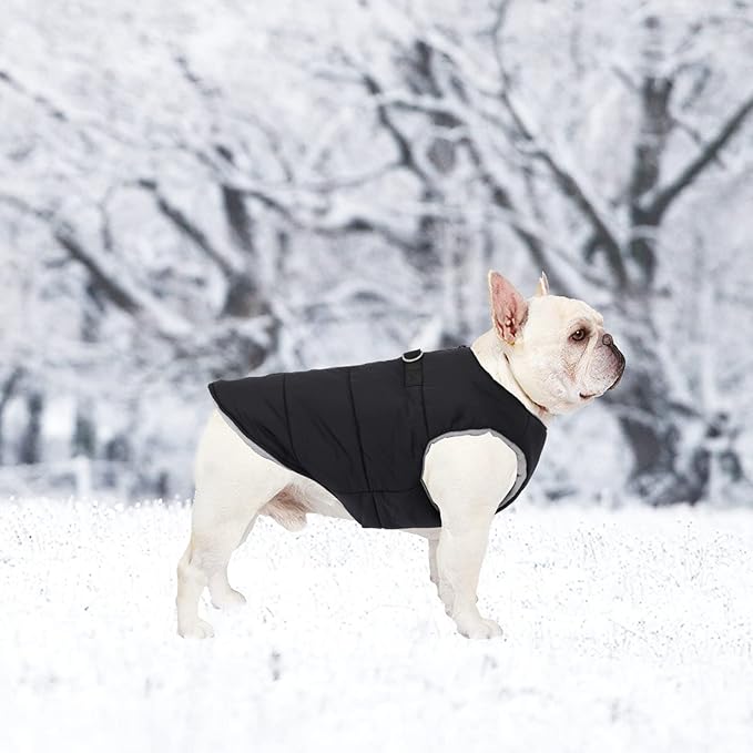 Geyecete Dog Bulldog Clothes Dog Cotton Padded Coat Thick Winter Warm Vest Waistcoat Cold Weather Jacket Clothing for French Bulldog Coat-Black-XL