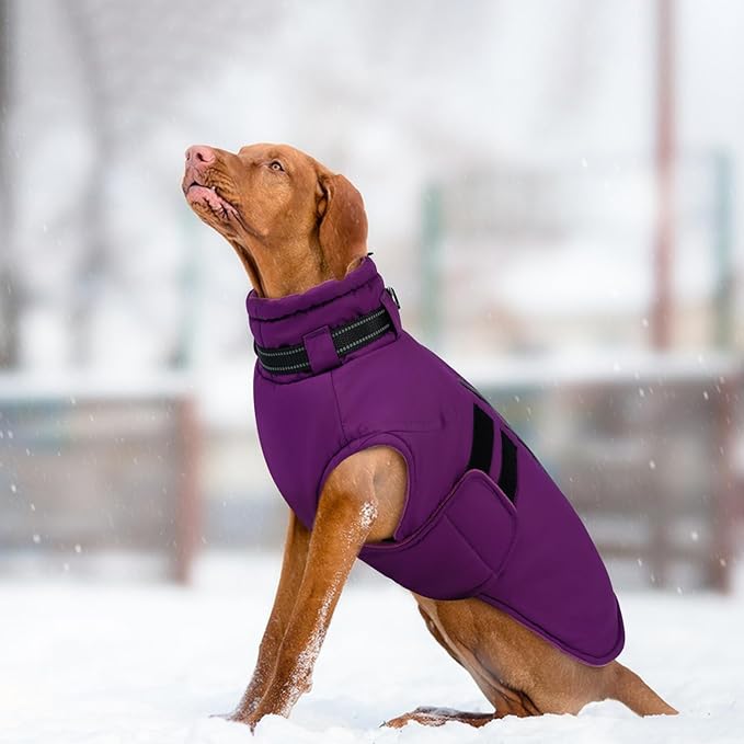 IECOii Winter Dog Coat for Extra Large Dogs, Waterproof Reflective Dog Snow Jacket for Giant Breeds, Built in Collar Snowsuit Thermal Dogs Cold Weather Coats for Great Dane, Purple - 4XL