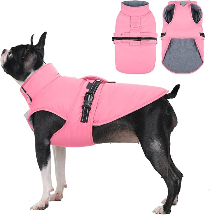 IECOii Dog Winter Jacket - Reflective, Adjustable & Windproof, Thermal Pet Snow Vest for Dachshund, Waterproof Quick Release Buckle, Cold Weather Coat for Indoor Outdoor, Pink, Size M