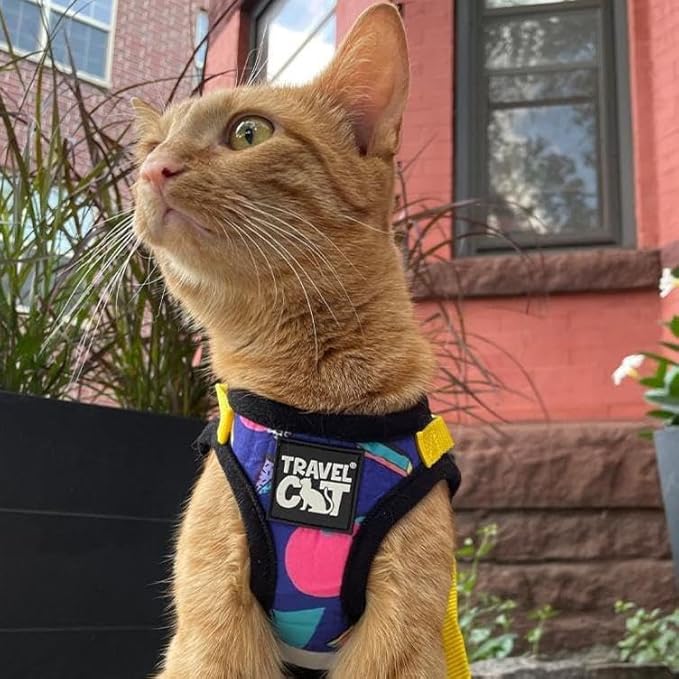 Travel Cat Harness and Leash Set - Adjustable Fit Harness and Reflective Strap - Comfort Walking Vest for Kitten for Outdoor Walking, Hiking (Small, 90s Cat)
