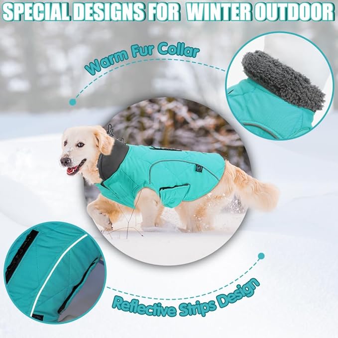 EMUST Winter Dog Coats, Fleece Dog Apparel for Cold Weather, British Style Windproof Warm Pet Jacket for for Winter, Turquoise, XS