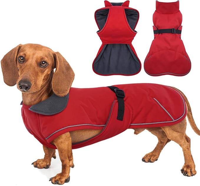 Dachshund Coat Warm Winter Dog Coat - Red, Medium - Dachshund Jacket with Fleece Lining, Waterproof Dog Coat Christmas Dachshund Snowsuit with Harness Hole and Adjustable Buckle Closure
