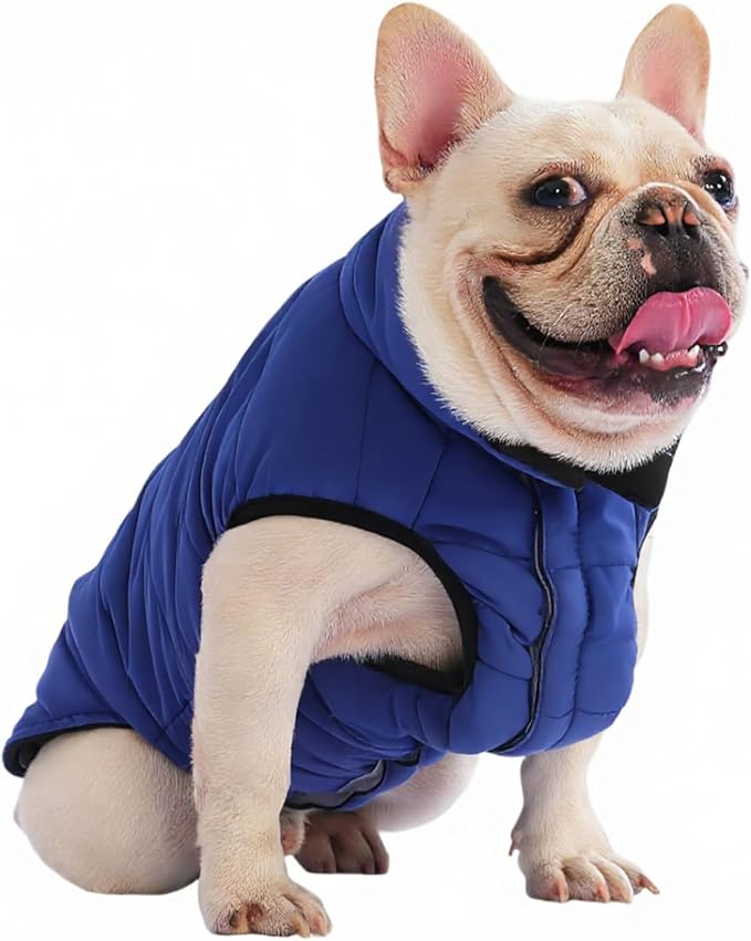PetWarm Reversible Dog Cold Weather Coats, Waterproof Dog Puffer Vest, Vest for Dogs with Hook-and-Loop Strap, Windproof Outdoor Coat for Winter Walks and Snowy Days, Blue, XS