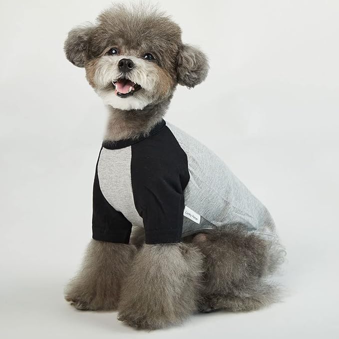 Dog Shirt for Small and Large Dogs Raglan Cotton T-Shirts Soft Breathable Dog Shirts pet Clothes Gray Series (Small, Gray/Black)
