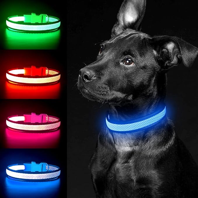 YFbrite Light up Dog Collar, USB Rechargeable LED Puppy Collar Super Bright Adjustable Glowing Dog Lights for Night Walking (Blue, Small)