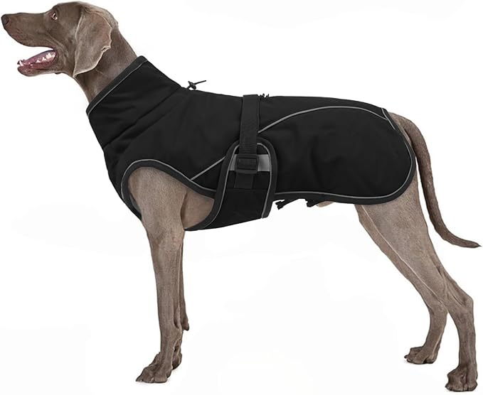 Warm Dog Coat for Winter,Waterproof Jacket with Zipper,Detachable Dog Coat with Adjustable Buckle,Comfortable Jacket for Dogs in Cold and Windy Days.3XL Black
