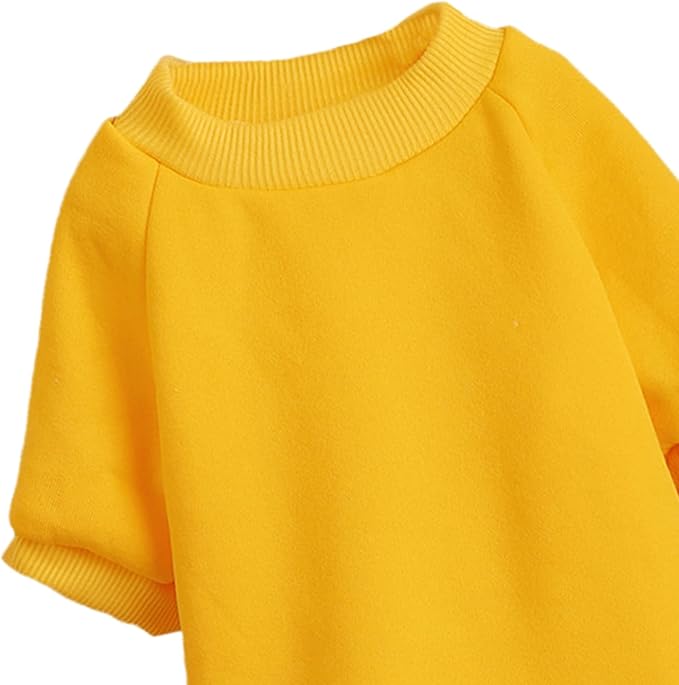 Puppy Sweater for Small Dogs Clothes Warm Winter Cat Clothe Pet Sweatshirt Knitwear Doggie Kitten Clothing, Yellow, X-Large