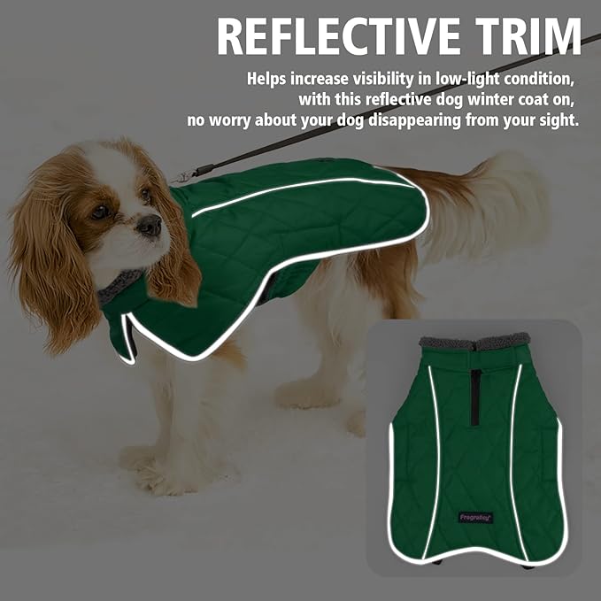 Fragralley Dog Coat Small, Waterproof Dog Jacket with Warm Fleece Lining, Adjustable Reflective Dogs Winter Coat, Turtleneck Pet Coats for Cold Weather (Green S)