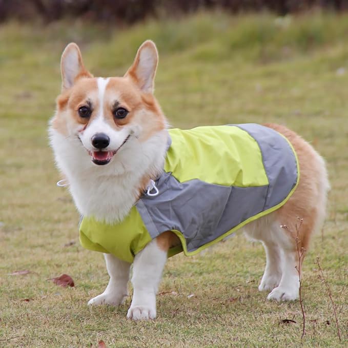 Dogs Packable Lightweight Raincoat: Pet Dog Hood Waterproof Coats Green Size 7