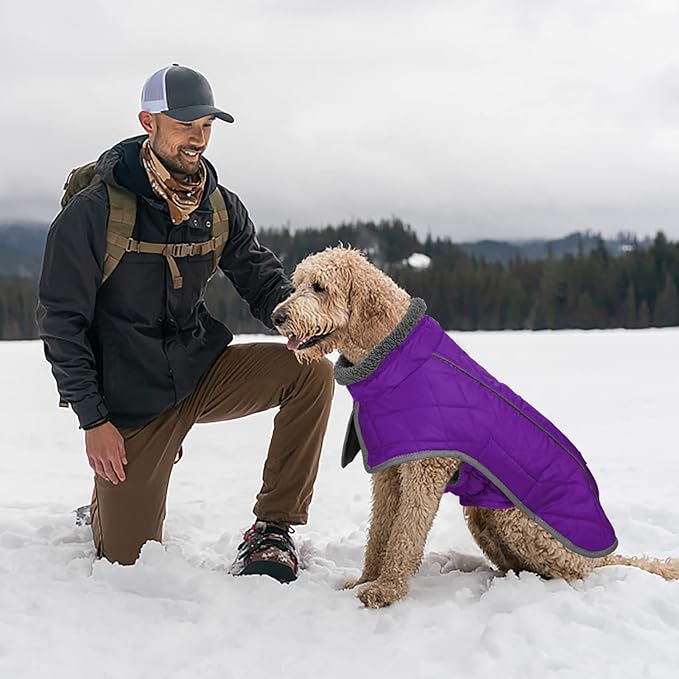 Fragralley Dog Coat Medium, Waterproof Dog Jacket with Warm Fleece Lining, Adjustable Reflective Dogs Winter Coat, Turtleneck Pet Coats for Cold Weather (Purple M)