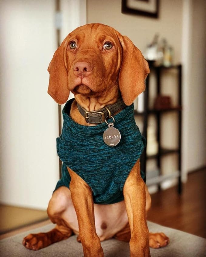 Gooby Boys 2X-Large Chest (~25.5 Inch) Zip Up Fleece, Turquoise Wash, 2X-Large 25.5 US