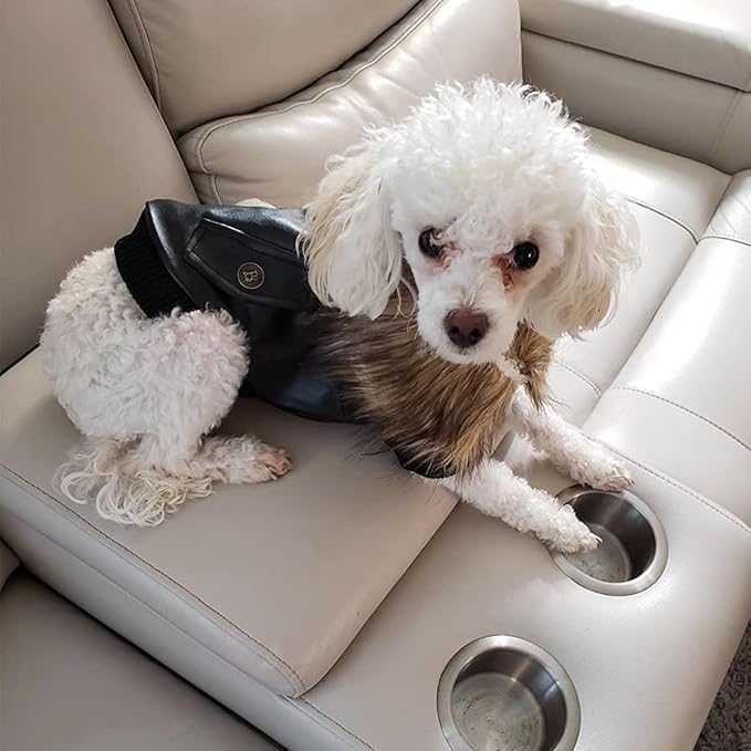 PETLESO Dog Coat for Small Dogs, Dog Leather Jacket Waterproof Windproof, Double Layer Warm Dog Winter Coat with Plush Lined, Black S