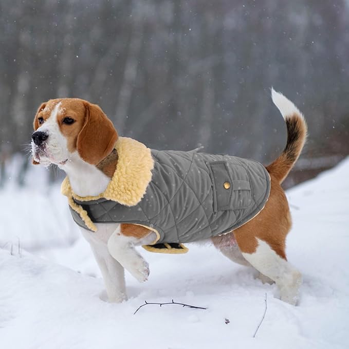 Large Dog Coat, Warm Jacket for Extra-Large Dogs, Dog Winter Coat, Pet Windproof Cold Weather Coats Snow Jacket Pet Clothes, Golden Retriever, Labrador Retriever, Husky, Grey XL
