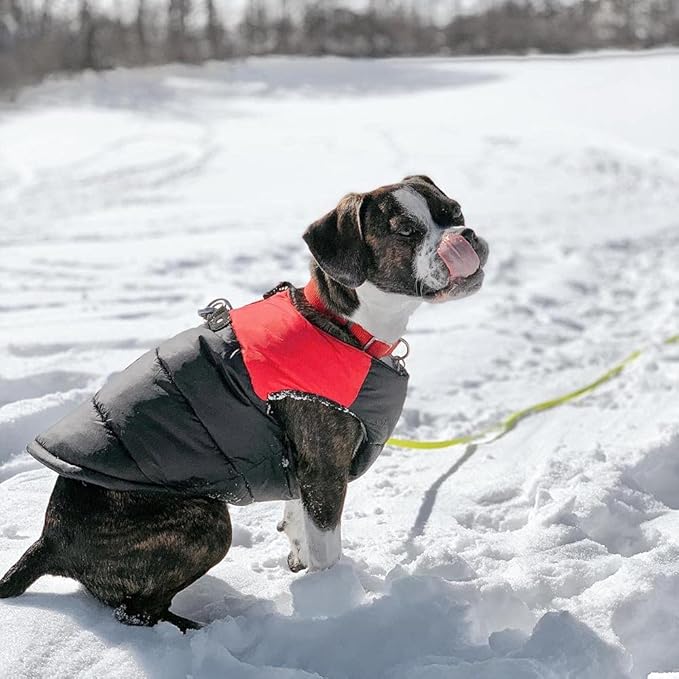 Gooby Padded Vest Dog Jacket - Red, Large - Warm Zip Up Vest Fleece Jacket with Dual D Ring Leash Water Resistant for Small to Medium Dogs