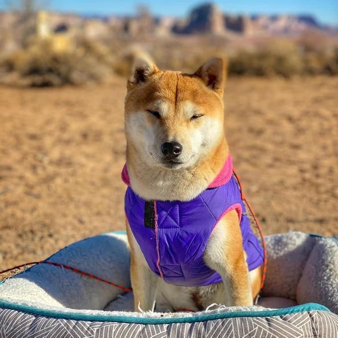 Gooby Sports Vest Dog Jacket - Purple, X-Large - Reflective Dog Vest with D Ring Leash Warm Fleece Lined Hook and Loop Closure for Small to Medium Dogs
