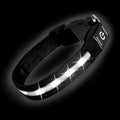 Super Bright LED Dog Collar - Fully Waterproof & Adjustable Glow Collar - USB-C Rechargeable for Night Walking, Safety - Flashing Lighted Collar for Dogs(White,L)