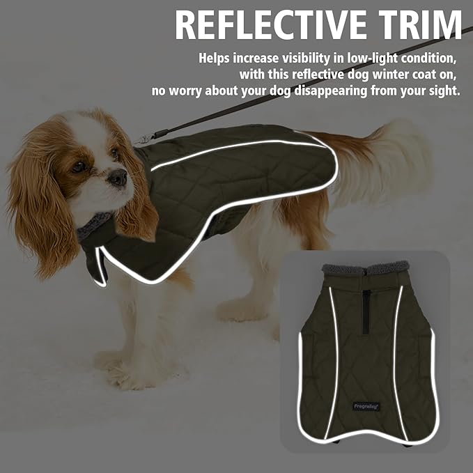 Fragralley Dog Coat Large, Waterproof Dog Jacket with Warm Fleece Lining, Adjustable Reflective Dogs Winter Coat, Turtleneck Pet Coats for Cold Weather (ArmyGreen XXL)