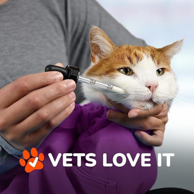 Cat-in-the-Bag Cozy Comfort Carrier - Small Lavender Pet Carrier and Cat Carrier Soft for Grooming, Vet Visits, Medication Administration, Dental Care, and Nail Trimming