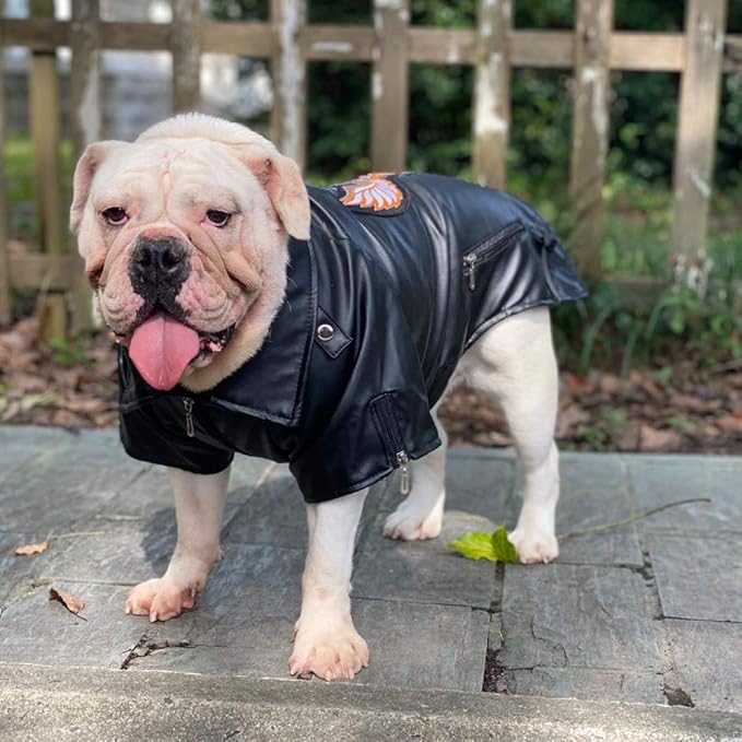 Lovelonglong Cool Dog Leather Jacket, Warm Coats Dogs Windproof Cold Weather Coats for Large Medium Small Dogs with Eagle Embroidery Black B-M