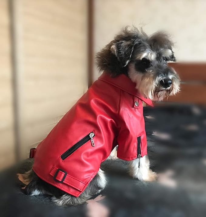 Lovelonglong Cool Dog Leather Jacket, Warm Coats Dogs Windproof Cold Weather Coats for Large Medium Small Dogs, Yorkshire Terrier Clothing Red S