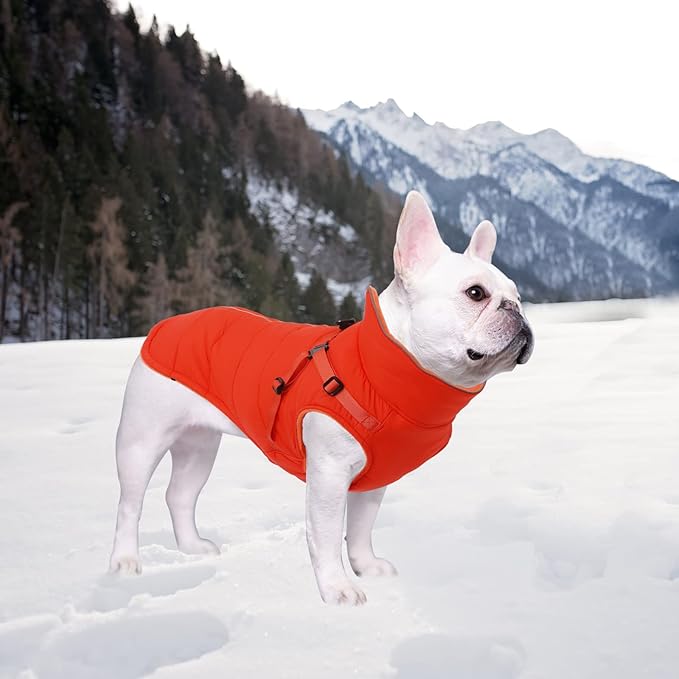 Geyecete Winter Warm Coat Waterproof Dog Winter Jacket with Harness Traction Belt,Windproof Pet Outdoor Jacket Dog Autumn-Orange-M
