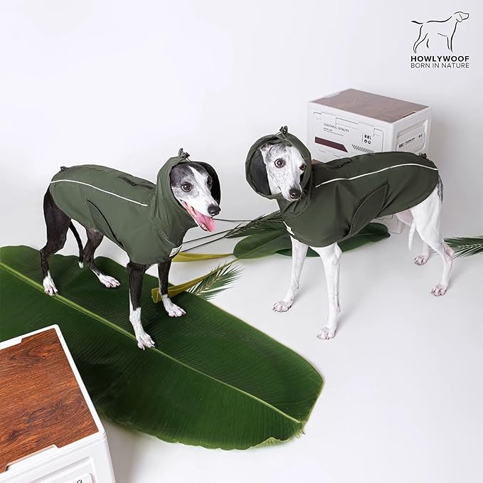 Waterproof Dog Raincoat, Hooded Raincoat for Dachshund Whippet Small Medium Large Dogs, Adjustable Dog Rain Coat Jacket (08(chest26-30'',back22.5-25.5))