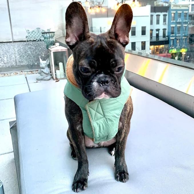 Gooby - Sports Vest, Fleece Lined Small Dog Cold Weather Jacket Coat Sweater with Reflective Lining, Green, Small