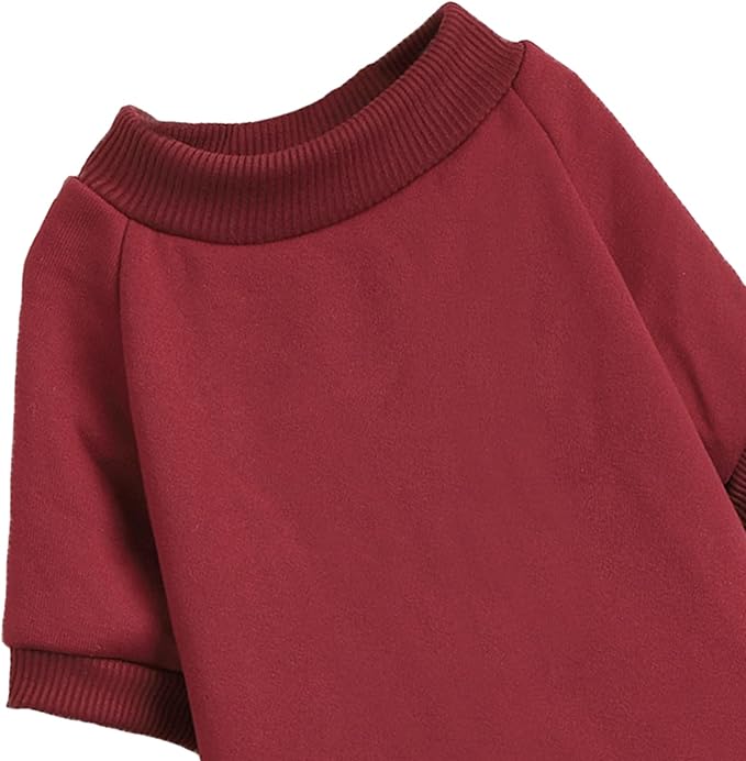 Puppy Sweater for Small Dogs Clothes Warm Winter Cat Clothe Pet Sweatshirt Knitwear Doggie Kitten Clothing, Wine, XX-Small