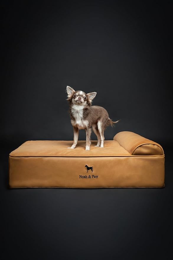 NOAH & PAW Dog Bed, 28x23x7.5 Inch, Orthopedic Dog Beds for Medium Size Pets, Eggshell Memory Foam Infused with Cooling Gel, Waterproof, Machine Washable, Includes Inner Cover (Faux Leather)