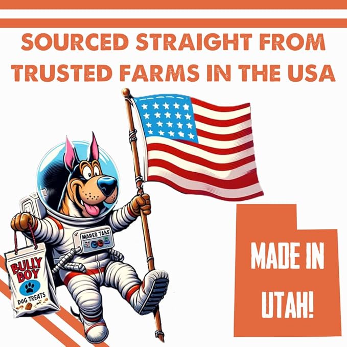 Bully Boy's Famous Beef Sticks Dog Treats | Free from Wheat, Corn, Soy, or Gluten | USA Sourced Ingredients | with Smokehouse Beef | Made in Utah | 15 oz - 2 Pack