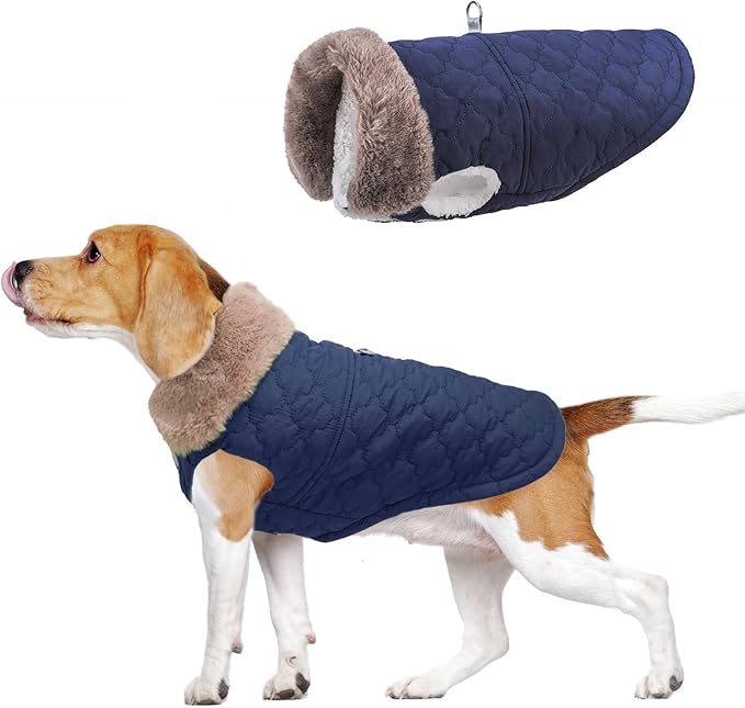 BEAUTYZOO Winter Dog Coat with Harness Built in, Warm Dog Puffer Jacket Vest Padded Fleece Cold Weather Coats Windproof Waterproof Snow Jackets Clothes for Small Medium Puppy, Blue L