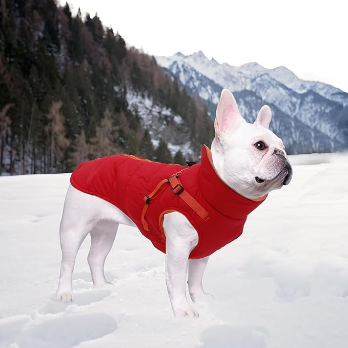 Geyecete Winter Warm Coat Waterproof Dog Winter Jacket with Harness Traction Belt,Windproof Pet Outdoor Jacket Dog Autumn-Red-L