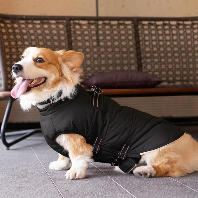 Small Dog Coat with Harness Built-in, Waterproof Reflective Fleece Lined - Warm Windproof Winter Jacket with Back Zipper, Cold Weather Snow Dog Coats - Black - S