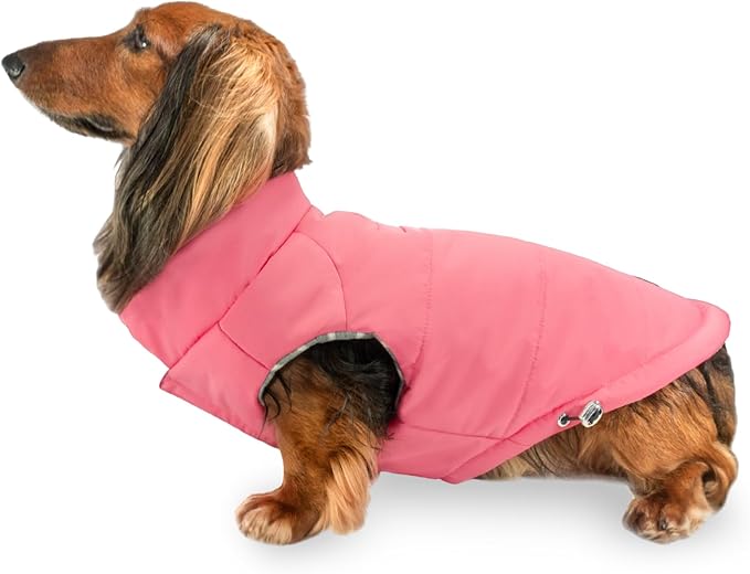 DJANGO Puffer Dog Coat – Warm Winter Dog Jacket & Water-Repellent Insulated Puffer Vest with Striped Lining, Harness Hole, Adjustable Fit for Small & Medium Dogs, Dachshunds – Rose Petal Pink, Large
