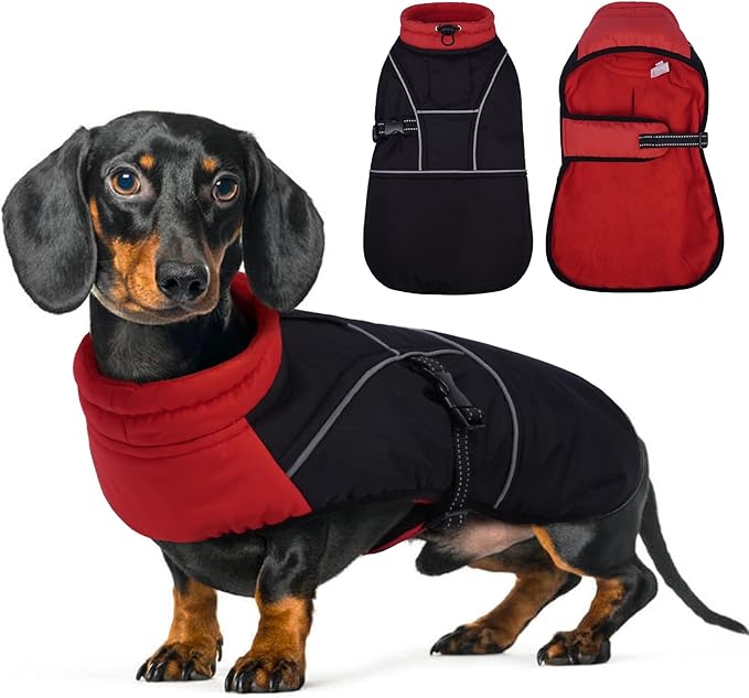 Lelepet Dachshund Coat Warm Dog Winter Coat Waterproof Dog Jacket with Fleece Lining, Reflective Outdoor Dachshund Snowsuit with Leash Hole Adjustable Neckline,Coats for Small Medium Dogs,Red, XL