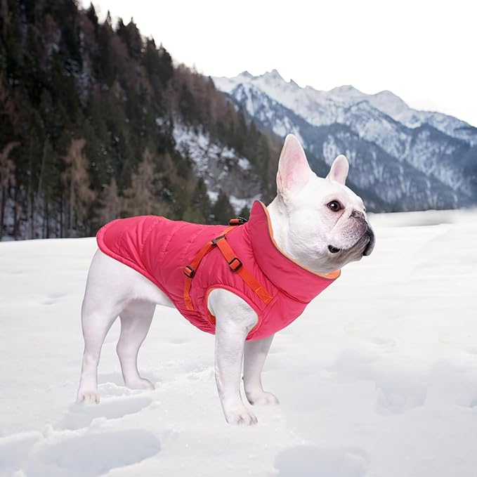 Geyecete Winter Warm Coat Waterproof Dog Winter Jacket with Harness Traction Belt,Windproof Pet Outdoor Jacket-Pink-L